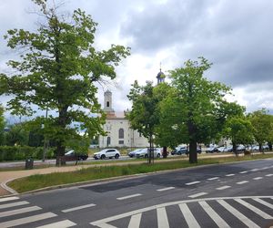 Aleja Dębowa w Bydgoszczy, czyli żywa historia wśród zieleni