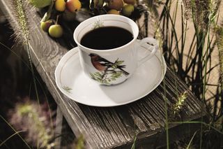 Nordic Birds_Fyrklovern_jesien 8