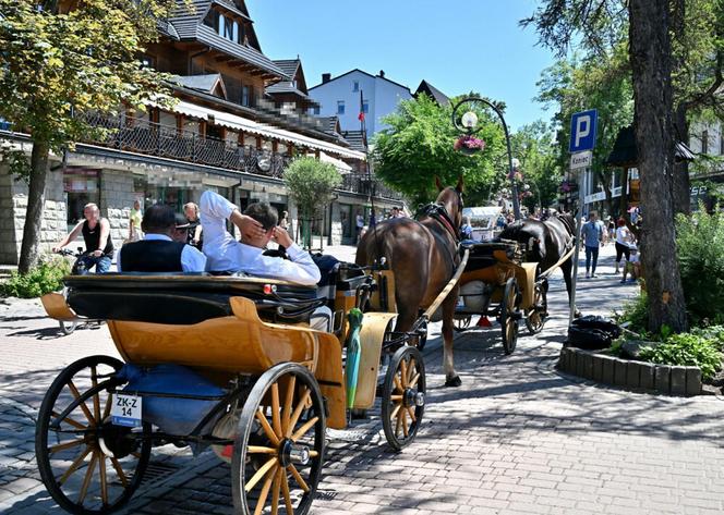 Arabowie pokochali Zakopane. Kelnerka zauważyła ciekawą rzecz. Zaskakujące!