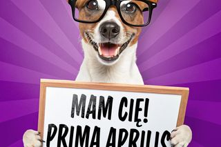 Kartki Prima Aprilis. Śmieszne obrazki na 1 kwietnia