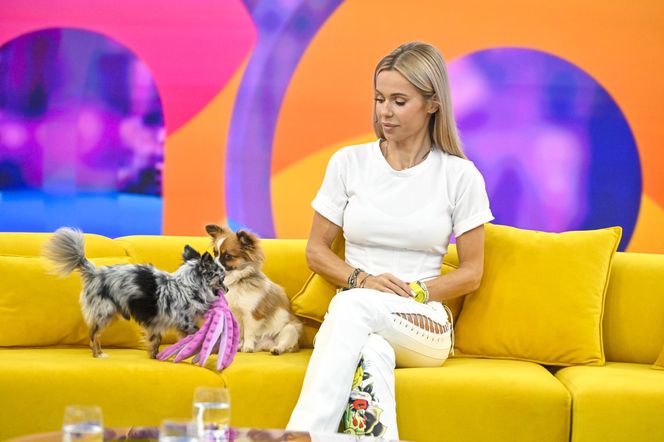 Te psy skradły serca gwiazd! 