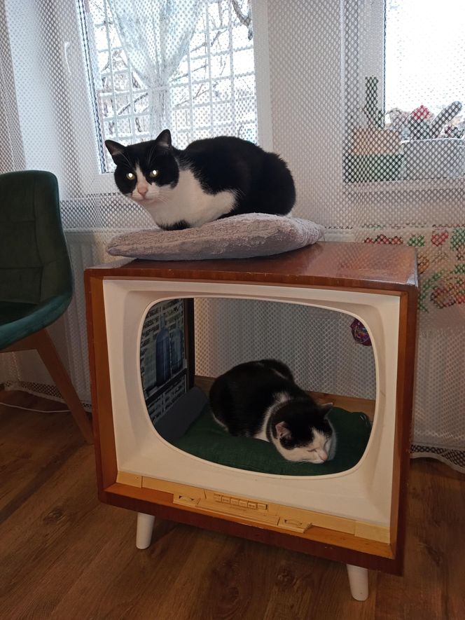 Sielski klimat w Wieliczce