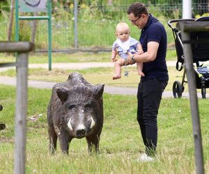 Miłosz Motyka. Energia rozpiera ministra