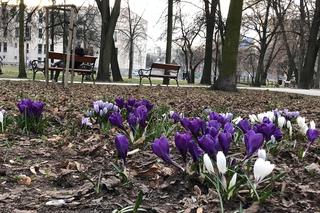 Czuć wiosnę w parku Leśniczówka!