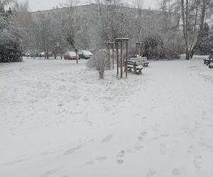 Zima wróciła do Poznania (21.01.2023)