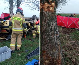 Śmiertelny wypadek pod Wschową! 49-latka nie miała szans po uderzeniu w drzewo i dachowaniu [ZDJĘCIA].