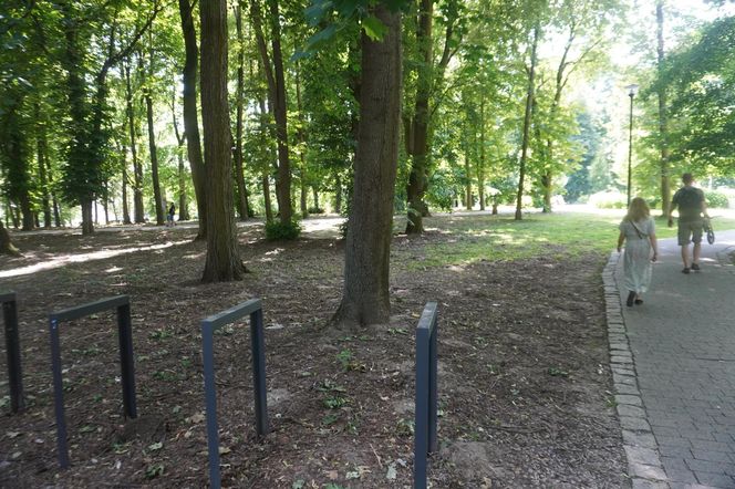 Park Miejski w Sandomierzu