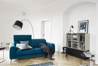 Nowa niebieska sofa w pokoju dziennym