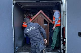 Osadzeni w Zakładzie Karnym w Białej Podlaskiej wykazali się empatią do zwierząt