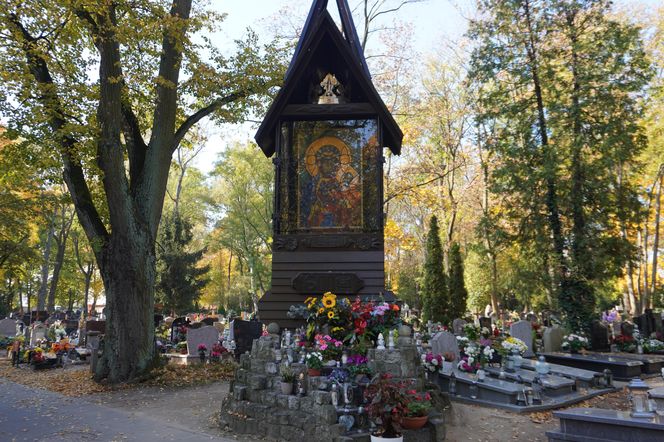 Cmentarz Jeżycki na poznańskich Ogrodach