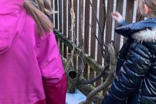 Muzeum Patyka w Toruniu