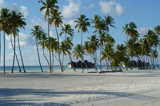 Odgadniesz stolice tych państw? Trudny QUIZ. Sprawdzamy wiedzę ze wszystkich kontynentów!