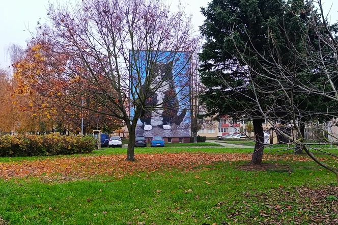 Mural z kotem Gackiem już odsłonięty