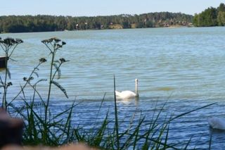 To miasteczko jest najbardziej malownicze na Pomorzu. Pagórki porośnięte lasami, błękitne tafle jezior