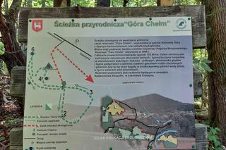 Góra Chełm w powiecie strzyżowskim na Podkarpaciu [GALERIA]