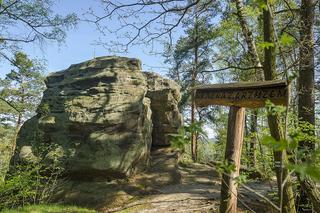 Gdzie na wycieczkę w okolicach Krakowa? Najlepsze pomysły na jednodniowe wypady