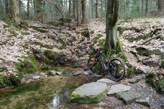 Źródło rzeki Kamiennej Biały stok