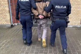 Aresztowani, którzy porwali i pobili strusia Zenka