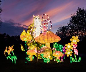 Garden of Lights w Śląskiem. Magiczny ogród owarto w Mikołowie. W tym roku obowiązuje nietypowy cennik