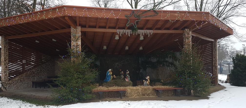 ZOO Toruń zaprasza!