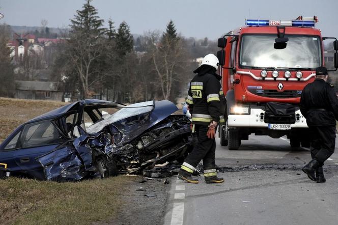 Wypadek Rudnik Kolonia