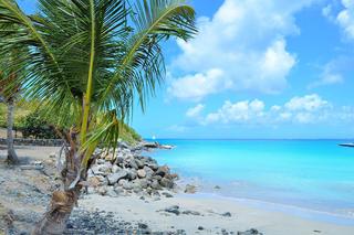 Karaibski raj wyrzuca turystów z powodu pandemii. Nie planujcie tam wakacji!