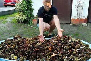 Grzybobranie 2023. Zobaczcie najlepsze memy o grzybiarzach! 