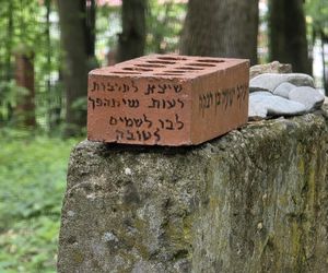 Cmentarz żydowski w Leżajsku