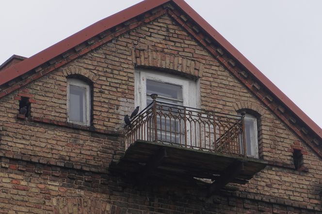 Opuszczona zabytkowa kamienica przy ul. Sienkiewicza w Białymstoku