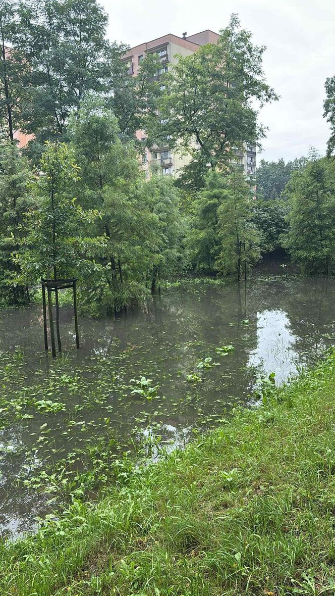 Zalania i podtopienia na Śląsku w niedzielę 14 września 2025