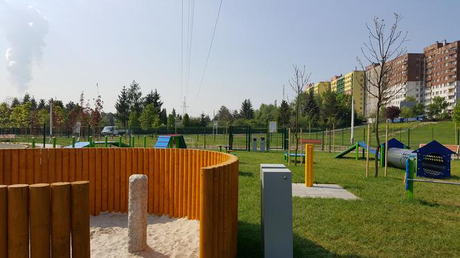 Park psiej aktywności w Sosnowcu