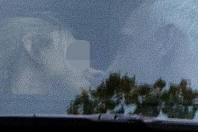 Tak Paweł Orleański całuje nieżonę!