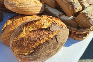 Targ Regionalny w Tarnowie 