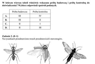 EGZAMIN GIMNAZJALNY 2014 PRZYRODA, BIOLOGIA, GEOGRAFIA: ARKUSZE OFICJALNE Z CKE + ODPOWIEDZI