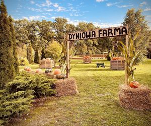 Dyniowa Farma