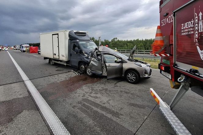 Tragedia na drodze S17 w woj. lubelskim