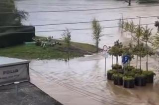 Powódź 2024 w Nysie. Miasto pod wodą