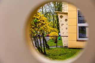 Osiedle WSM Koło II w Warszawie - zdjęcia. Pablo Picasso na ścianie i klatki schodowe typu ser