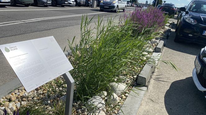 Tak wygladają ogrody deszczowe na parkingu przed terminalami Katowice Airport