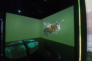 Save the Planet : Ocalmy Planetę! - wyjątkowa wystawa w Fabryce Norblina