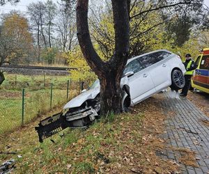 Wypadek w Żorach. Ukrainiec wjechał w drzewo. Był pijany