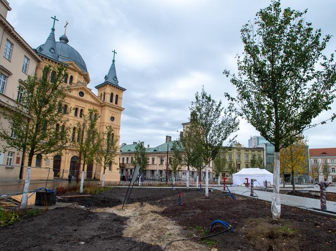 Plac Wolności coraz bardziej zielony