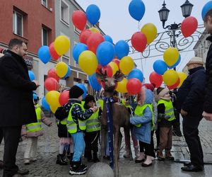 Jelonek stanął przy fontannie na ul. Długiej! Nowa atrakcja turystyczna Łomży poleca się do robienia zdjęć