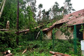 Trąba powietrzna przeszła przez Złocieniec