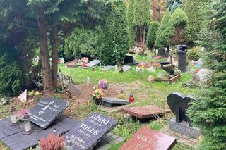 Cmentarz dla zwierząt przy Malowniczej