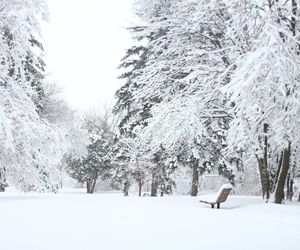 Trzaskające mrozy na horyzoncie. Pierwszy atak zimy w listopadzie