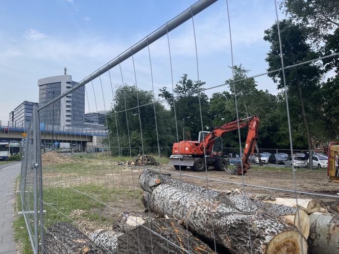 Protest mieszkańców przeciwko wycince drzew pod budowę linii tramwajowej do Mistrzejowic.