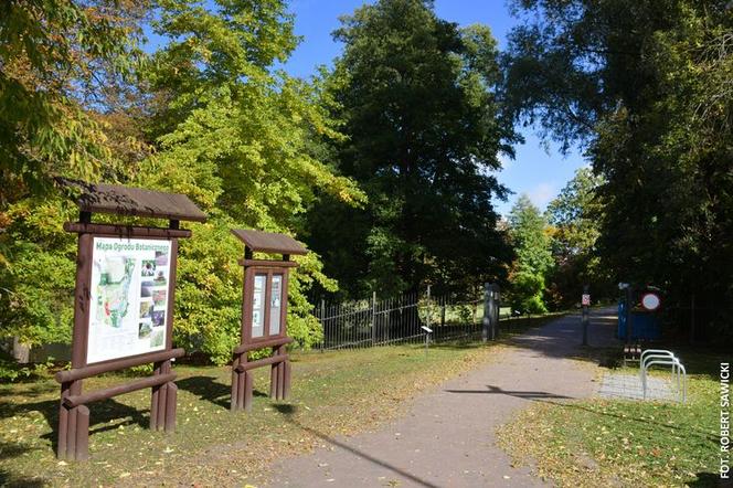 Zobacz jak wygląda największy park miejski w Polsce