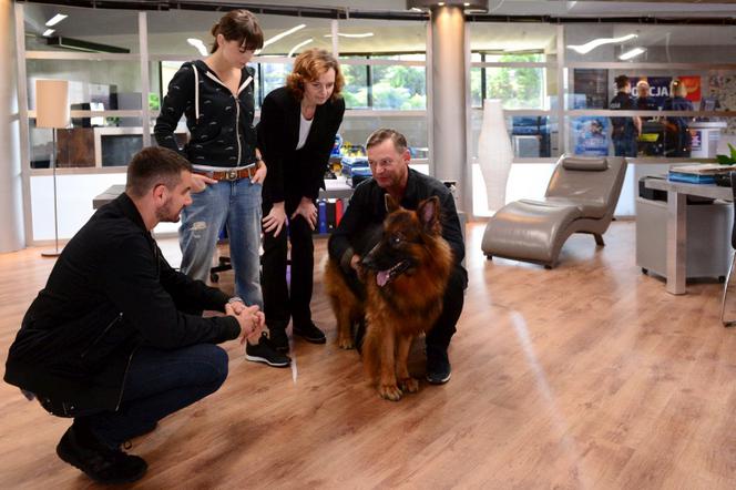 Komisarz Alex 8 sezon odc. 94. Marta Grabska (Beata Fido), Ryszard Puchała (Ireneusz Czop), Michał Orlicz (Antoni Pawlicki), Ewa Krassowska (Agnieszka Więdłocha)