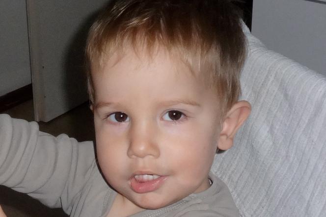 Gabryś skonał, bo nikt mu nie pomógł 